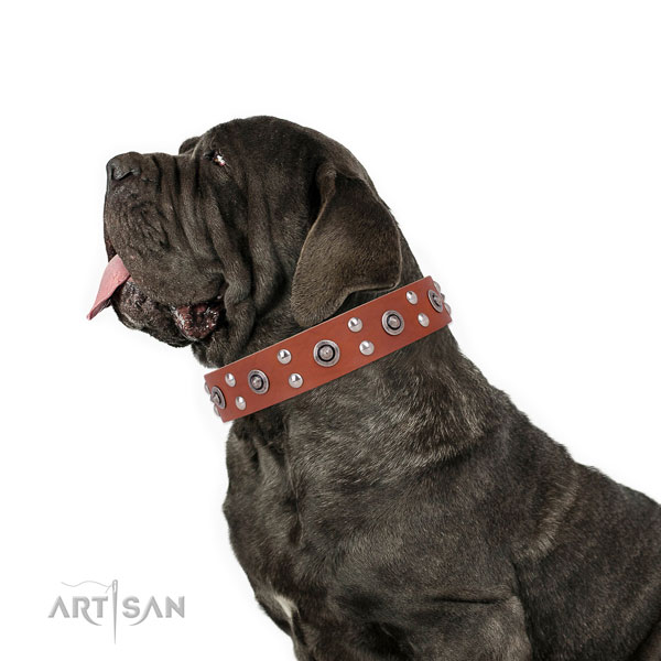 Mastiff stunning genuine leather dog collar for everyday use title=Mastiff full grain natural leather collar with embellishments for handy use