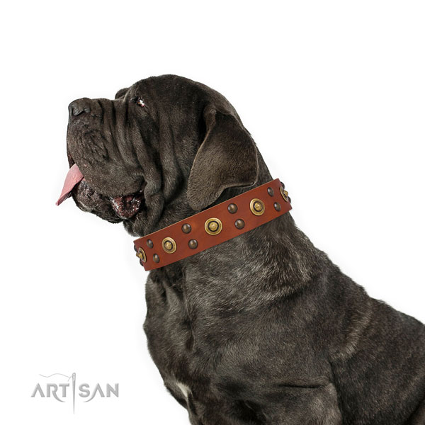 Mastiff unusual leather dog collar for basic training title=Mastiff full grain genuine leather collar with adornments for comfy wearing