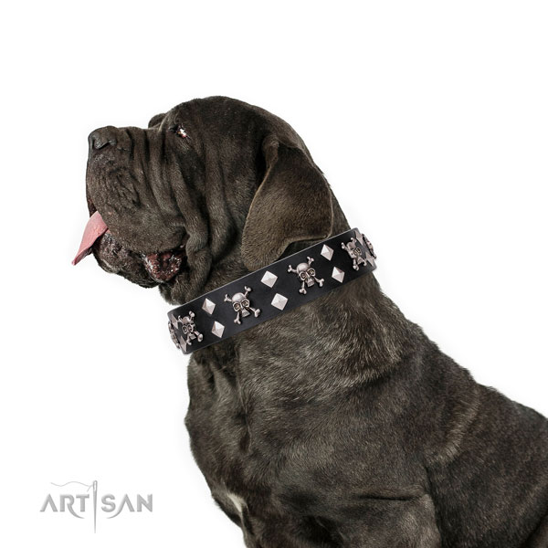 Mastiff designer genuine leather dog collar for stylish walking title=Mastiff genuine leather collar with studs for basic training