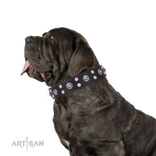 Mastiff trendy genuine leather dog collar for everyday walking title=Mastiff full grain genuine leather collar with embellishments for handy use