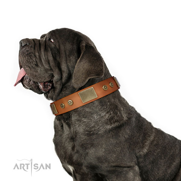 Mastiff awesome natural genuine leather dog collar for walking title=Mastiff leather collar with adornments for easy wearing