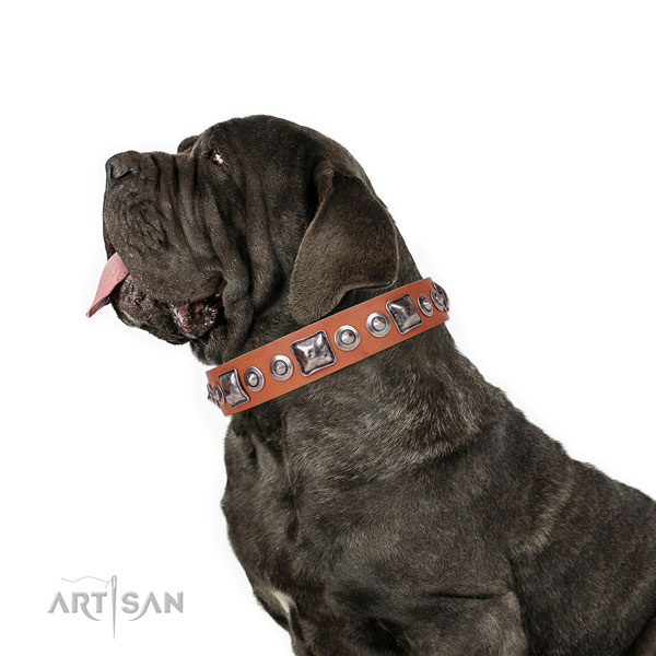 Mastiff impressive full grain leather dog collar for daily walking title=Mastiff full grain natural leather collar with decorations for handy use