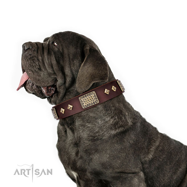 Mastiff fine quality natural genuine leather dog collar for basic training title=Mastiff full grain natural leather collar with studs for daily use