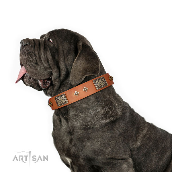 Mastiff embellished leather dog collar for easy wearing title=Mastiff full grain leather collar with adornments for comfy wearing