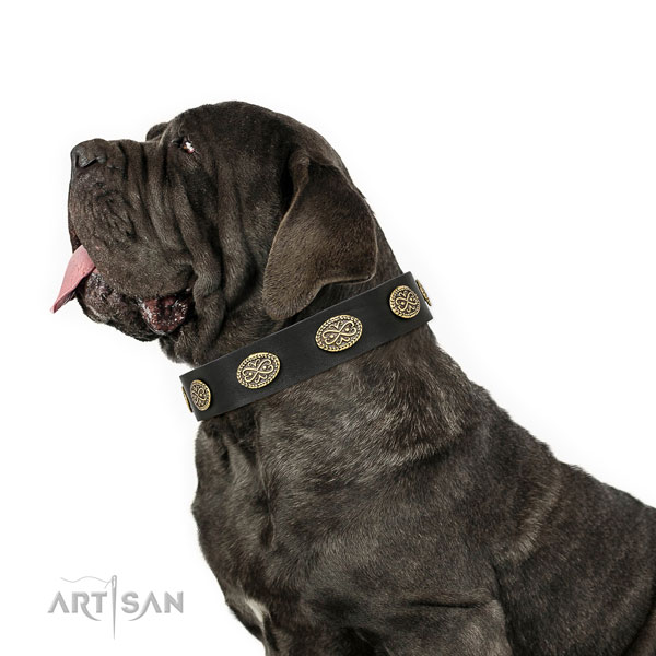 Mastiff convenient full grain natural leather dog collar for daily walking title=Mastiff full grain genuine leather collar with adornments for everyday walking