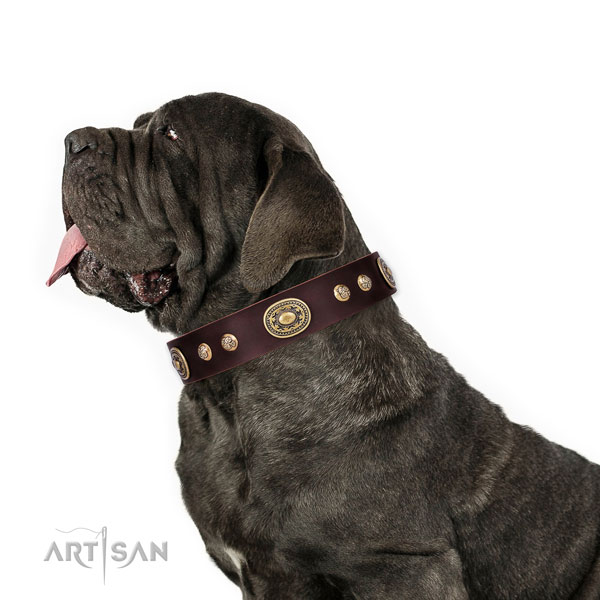 Mastiff fashionable leather dog collar for walking title=Mastiff full grain genuine leather collar with studs for comfortable wearing