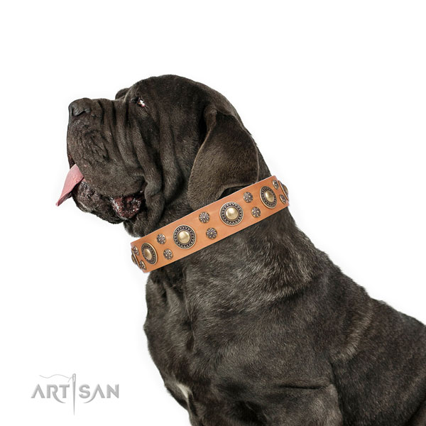 Mastiff exceptional full grain leather dog collar for fancy walking title=Mastiff full grain natural leather collar with studs for everyday walking