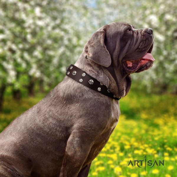 Mastino Napoletano fine quality natural genuine leather collar with decorations for your dog