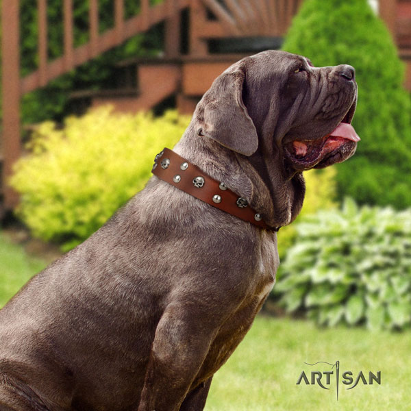 Mastino Napoletano unusual natural genuine leather collar with embellishments for your pet