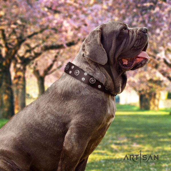 Mastino Napoletano trendy leather collar with decorations for your canine