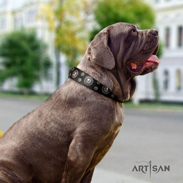 Mastino Napoletano best quality leather collar with adornments for your four-legged friend