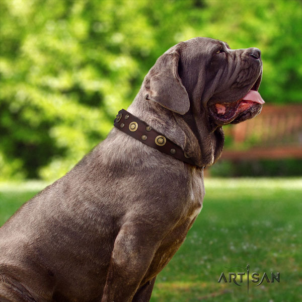 Mastino Napoletano exceptional full grain leather collar with adornments for your dog