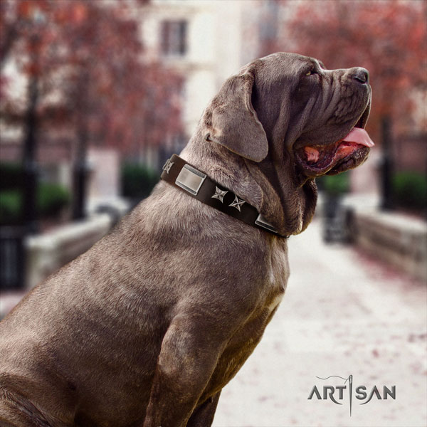 Mastino Napoletano unusual full grain leather collar with decorations for your canine