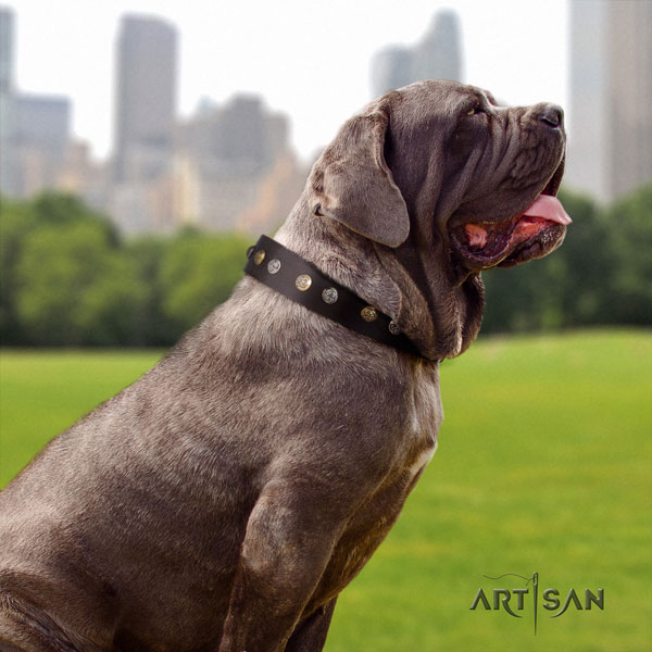 Mastino Napoletano best quality full grain genuine leather collar with studs for your four-legged friend