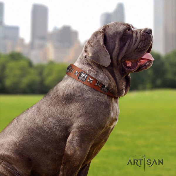 Mastino Napoletano exquisite full grain natural leather collar with decorations for your pet
