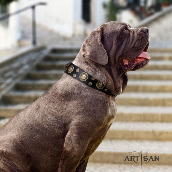 Mastino Napoletano easy wearing leather collar with embellishments for your dog