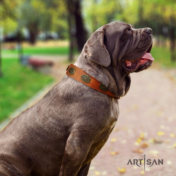 Mastino Napoletano easy adjustable leather collar with studs for your four-legged friend