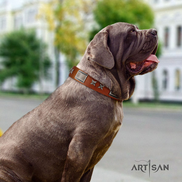 Mastino Napoletano top quality full grain natural leather collar with decorations for your pet