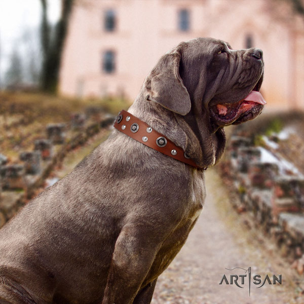 Mastino Napoletano handcrafted full grain genuine leather collar with adornments for your four-legged friend