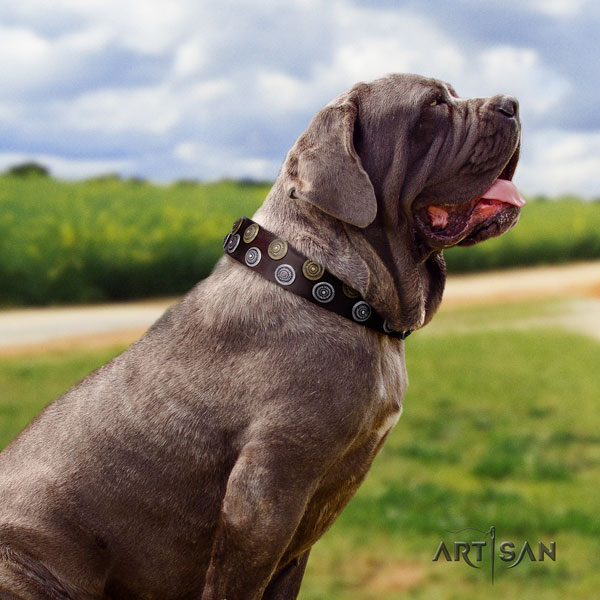 Mastino Napoletano stunning full grain natural leather collar with embellishments for your pet