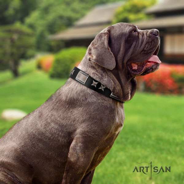 Mastino Napoletano stunning full grain natural leather collar with adornments for your pet