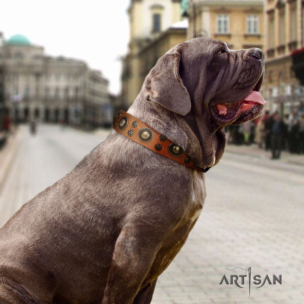 Mastino Napoletano fashionable full grain leather collar with embellishments for your dog