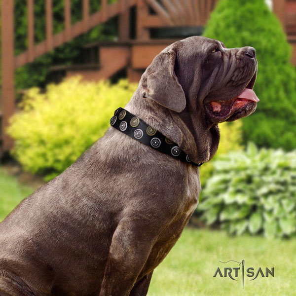 Mastino Napoletano easy to adjust leather collar with adornments for your four-legged friend