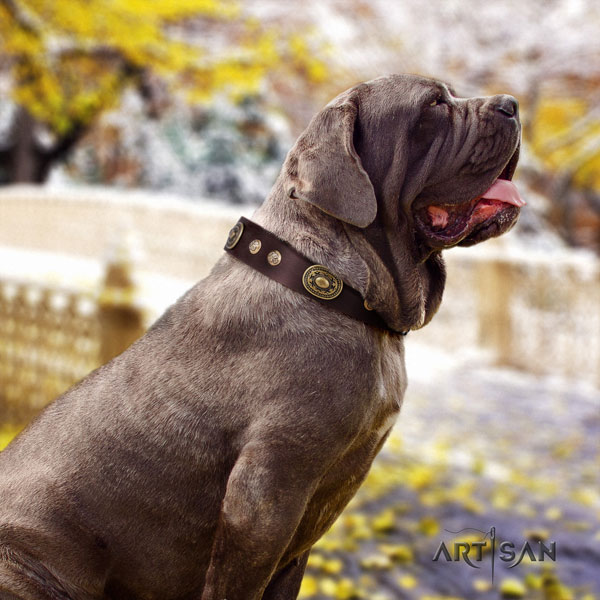Mastino Napoletano extraordinary natural genuine leather collar with adornments for your four-legged friend