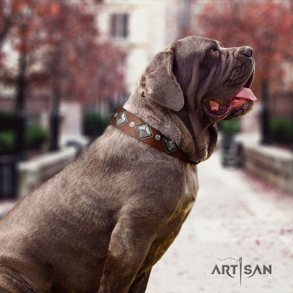 Mastino Napoletano incredible genuine leather collar with studs for your pet