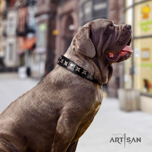 Mastino Napoletano top notch genuine leather collar with adornments for your dog