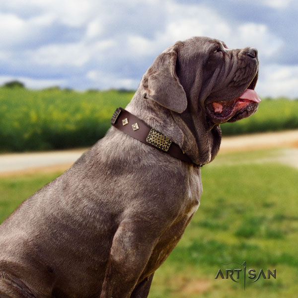 Mastino Napoletano stunning natural genuine leather collar with decorations for your doggie