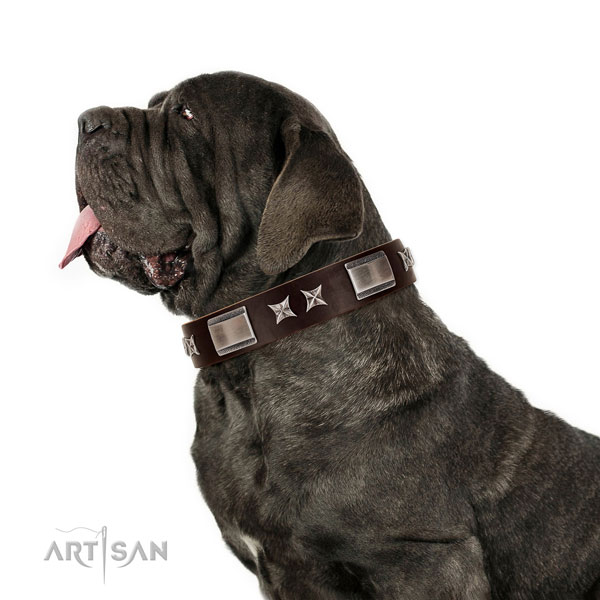 Exceptional collar of full grain natural leather for your beautiful pet