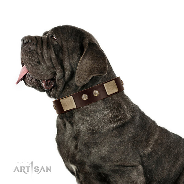 Reliable fittings on full grain genuine leather dog collar for fancy walking