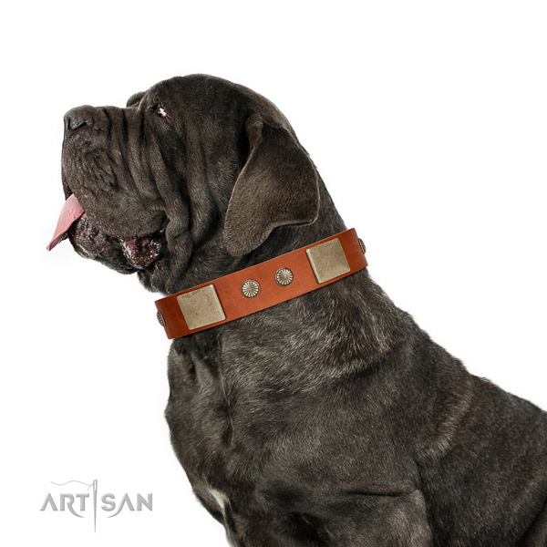 Significant genuine leather collar for your handsome dog