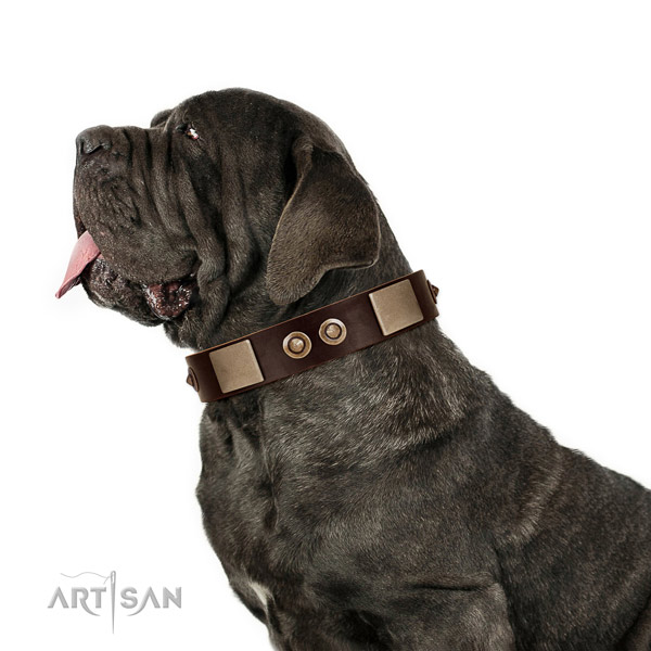Durable hardware on full grain natural leather dog collar for stylish walking
