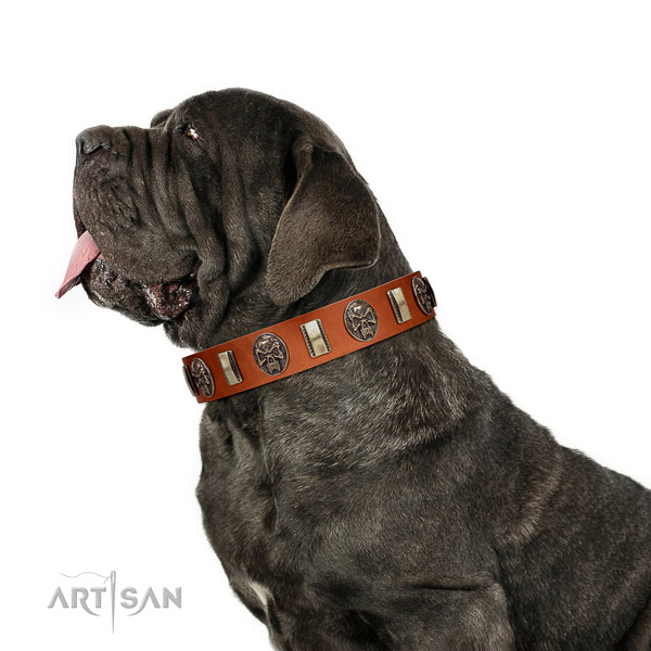 Natural leather collar with studs for your handsome canine