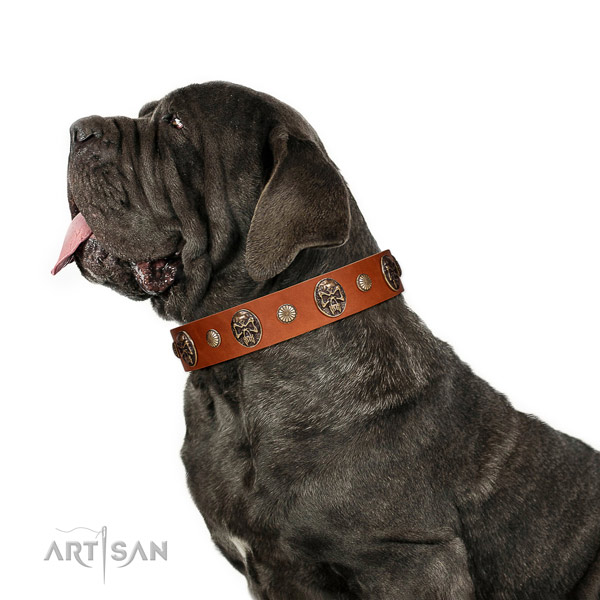 Full grain natural leather dog collar with designer studs