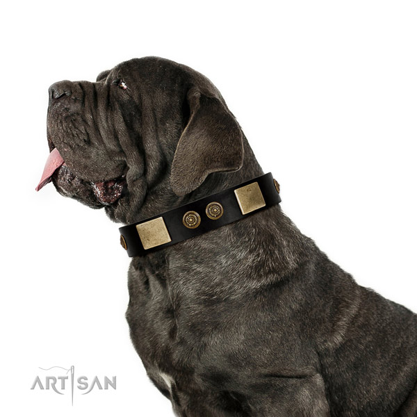 Reliable fittings on full grain natural leather dog collar for walking