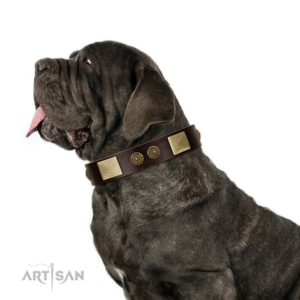 Easy wearing dog collar of leather with unusual adornments