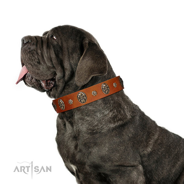 Daily walking dog collar of genuine leather with unique adornments