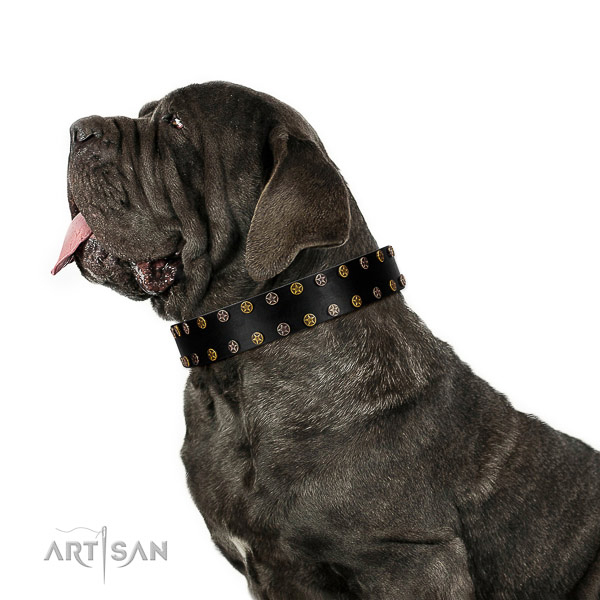 Remarkable genuine leather dog collar with durable decorations