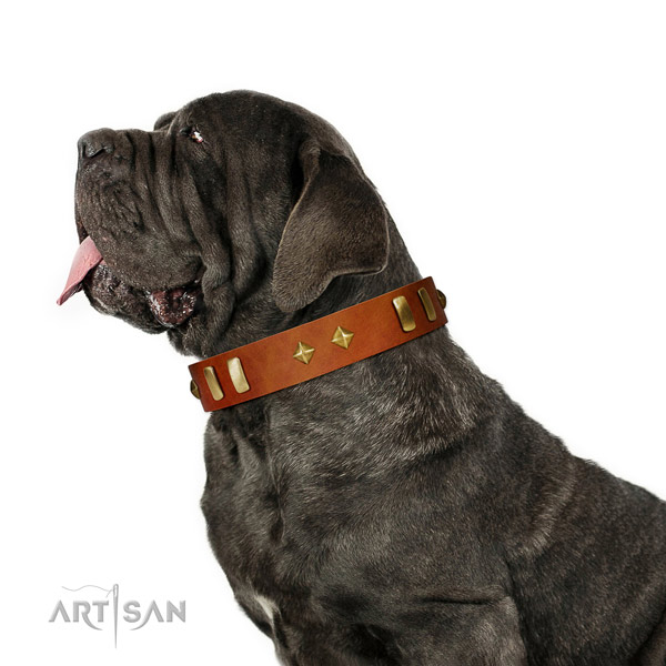 Daily use soft to touch full grain leather dog collar with embellishments