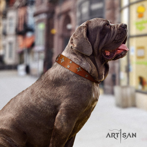 Mastino Neapoletano incredible embellished full grain natural leather dog collar for walking