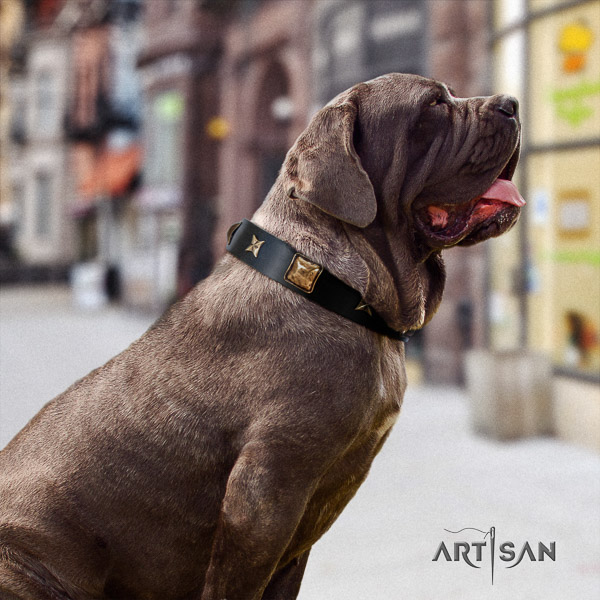 Mastino Neapoletano impressive decorated natural leather dog collar for everyday use