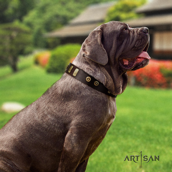 Mastino Neapoletano fashionable embellished genuine leather dog collar for stylish walking