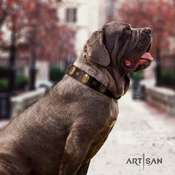 Mastino Neapoletano stylish studded natural leather dog collar for handy use