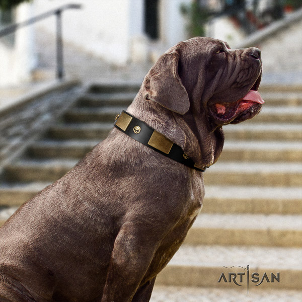 Mastino Neapoletano fashionable decorated genuine leather dog collar for daily use