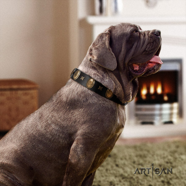 Mastino Neapoletano stunning adorned full grain leather dog collar for comfy wearing