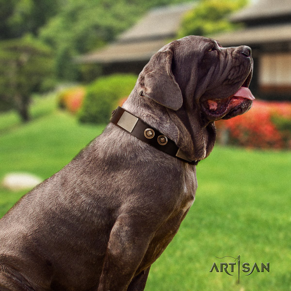 Mastino Neapoletano impressive decorated full grain natural leather dog collar for everyday use