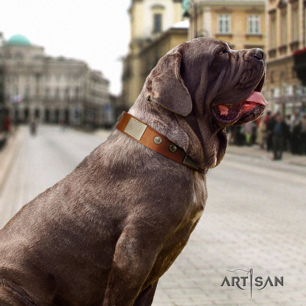 Mastino Neapoletano trendy decorated full grain genuine leather dog collar for daily walking